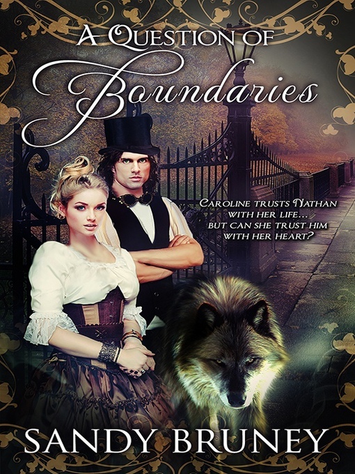 Title details for A Question of Boundaries by Sandy Bruney - Available